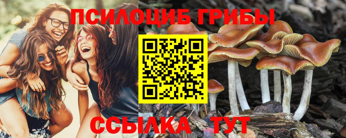 Калуга  Галлюциногенные грибы мицелий  Вход с VPN 